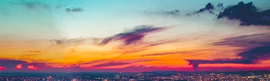 青岛茶虫网_青岛品茶